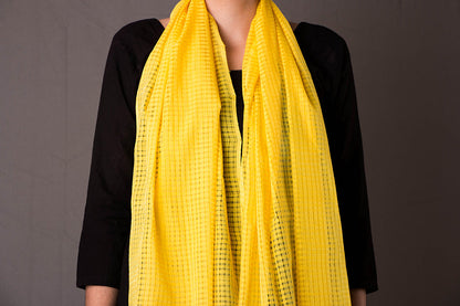 Godavari Handloom Fine Mangalgiri Cotton Stole
